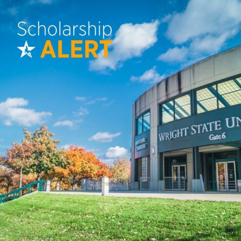 Undergraduate Merit Scholarship